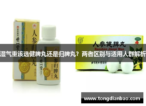 湿气重该选健脾丸还是归脾丸？两者区别与适用人群解析